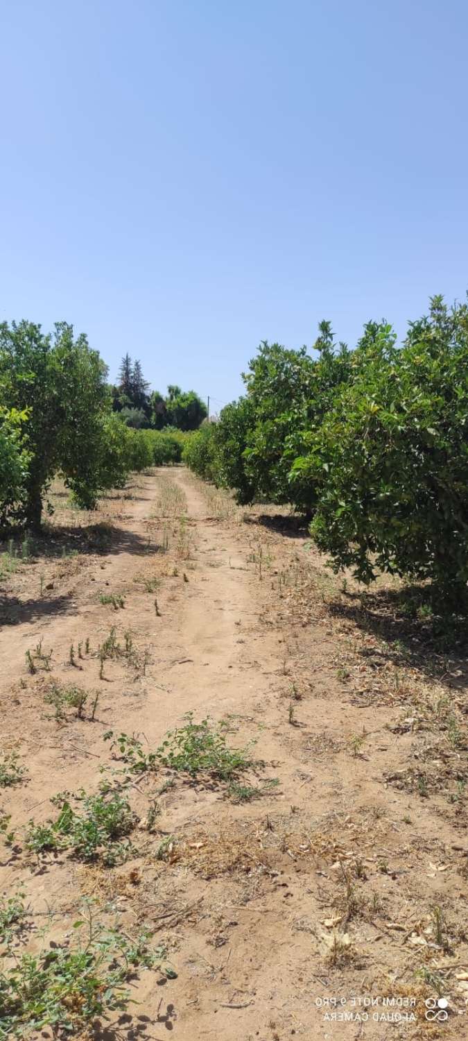 Parcelle en vente à Alhaurín el Grande