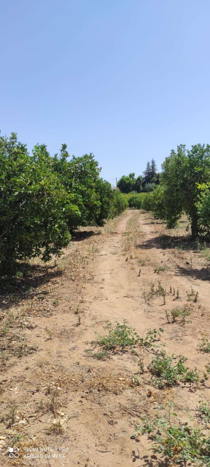 Parcelle en vente à Alhaurín el Grande