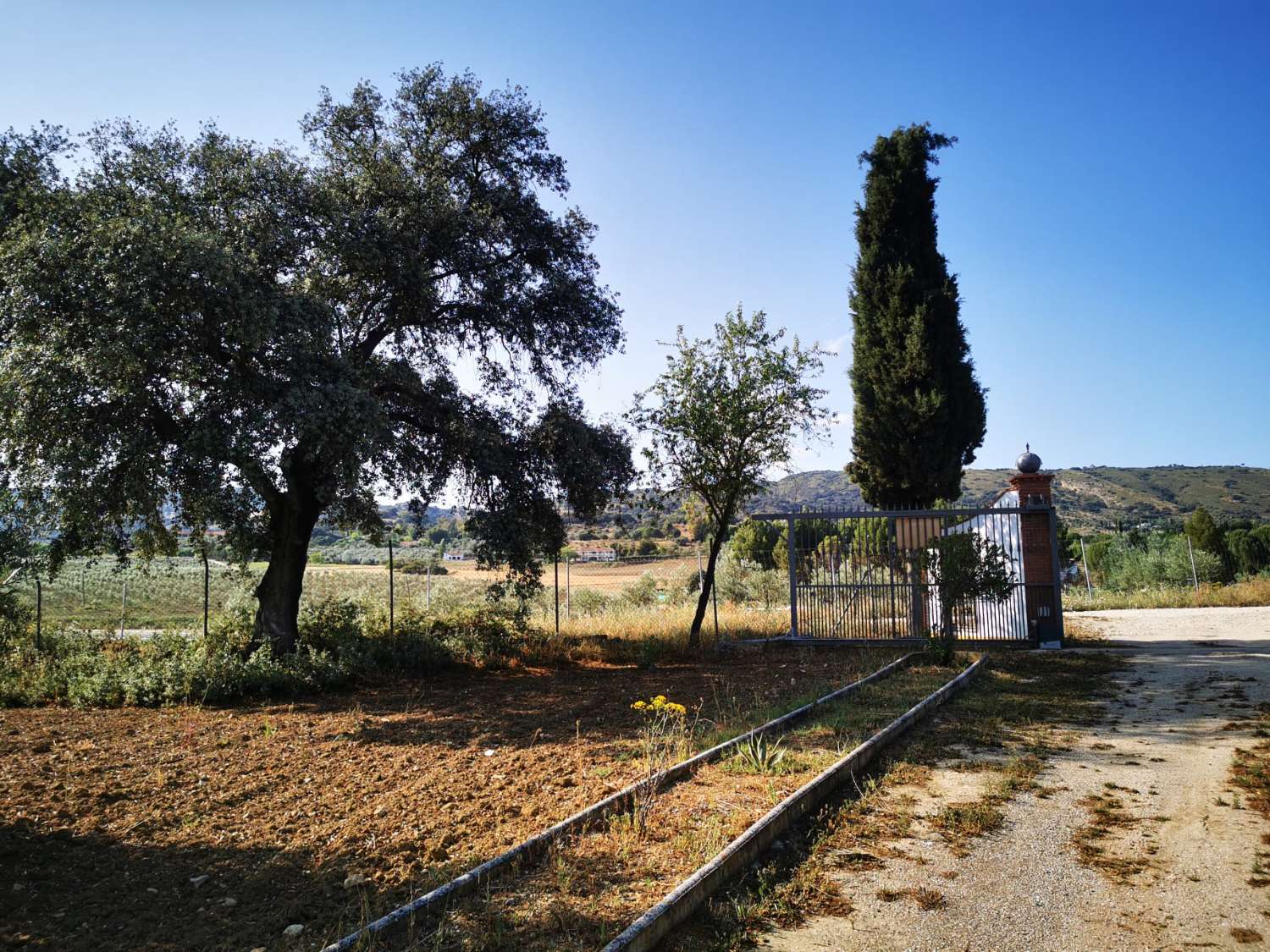 SUPER PROPRIÉTÉ RUSTIQUE À VENDRE, DANS LA SERRANIA DE RONDA.