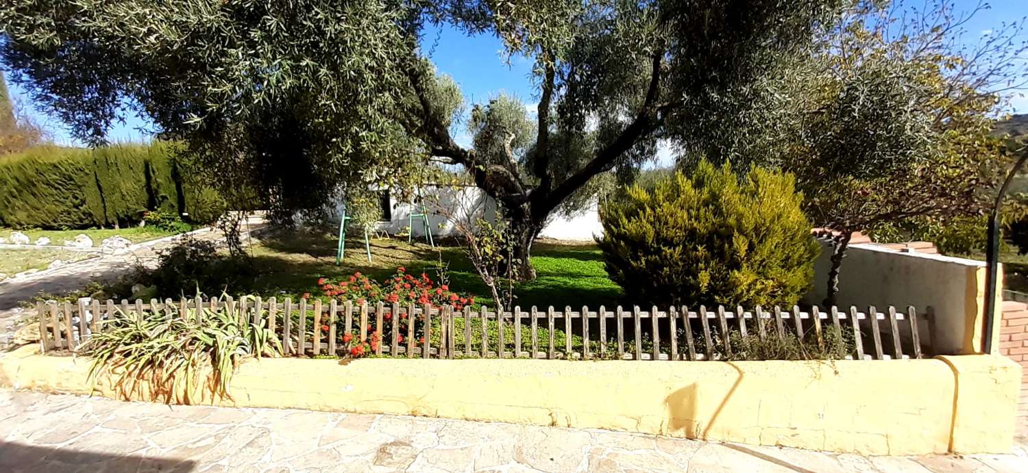 SUPER PROPRIÉTÉ RUSTIQUE À VENDRE, DANS LA SERRANIA DE RONDA.