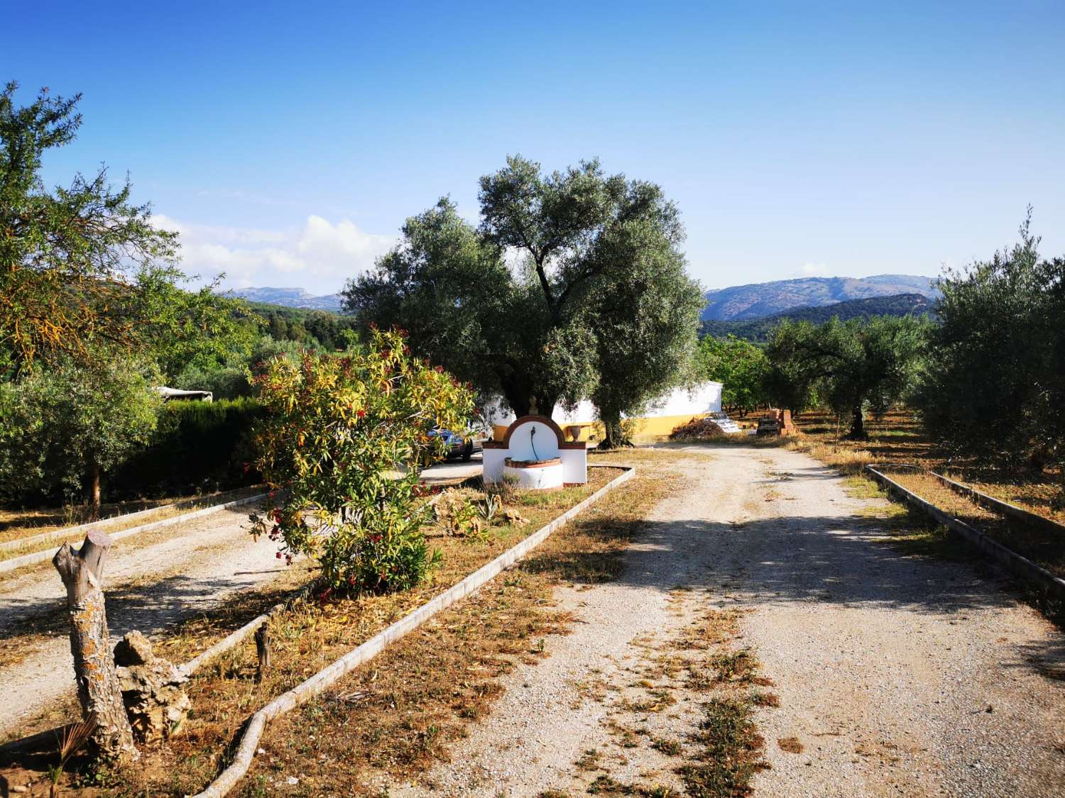 SUPER PROPRIÉTÉ RUSTIQUE À VENDRE, DANS LA SERRANIA DE RONDA.