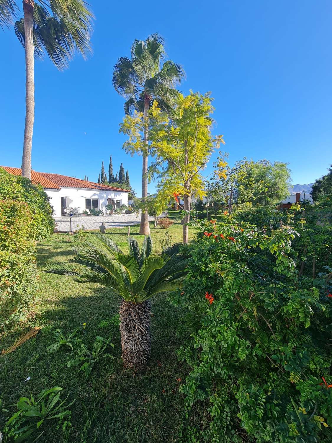 Villa en vente à Alhaurín de la Torre