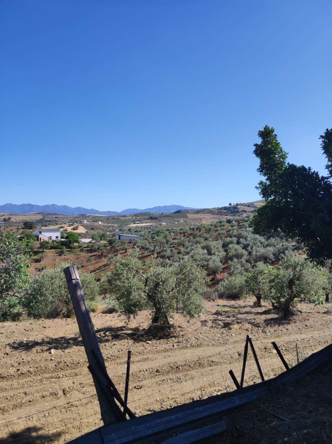 Country Property for sale in Casarabonela