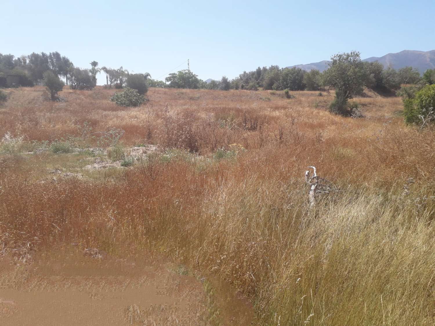 Finca en venta en Alhaurín el Grande