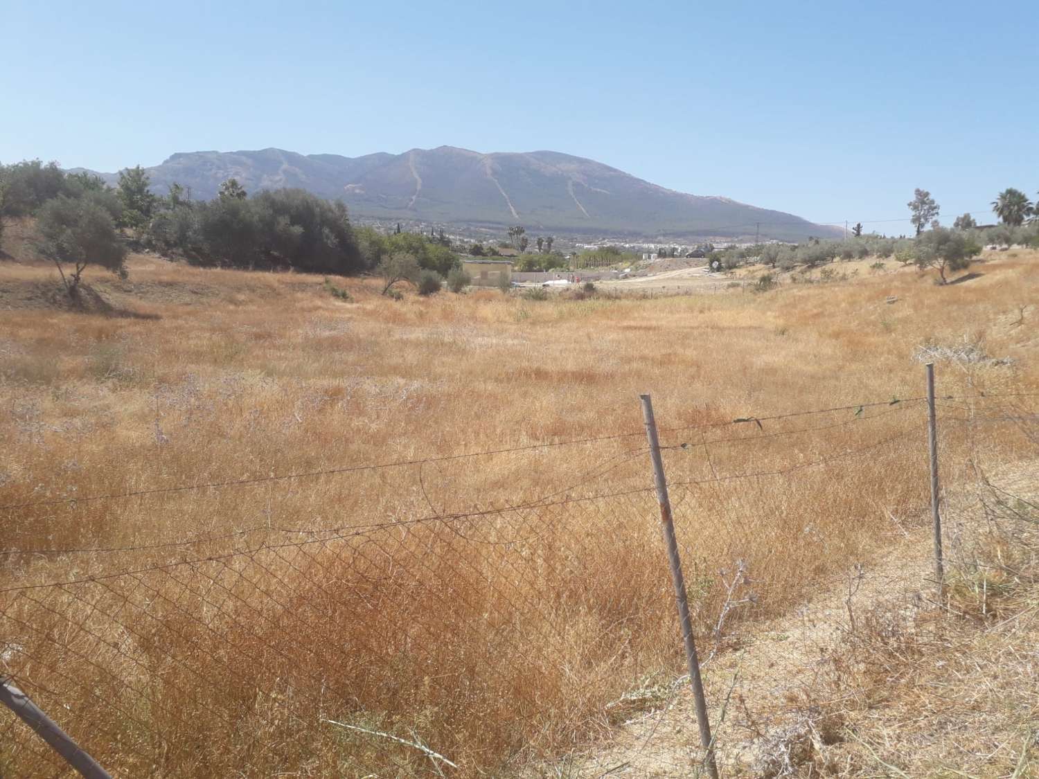 Finca en venta en Alhaurín el Grande