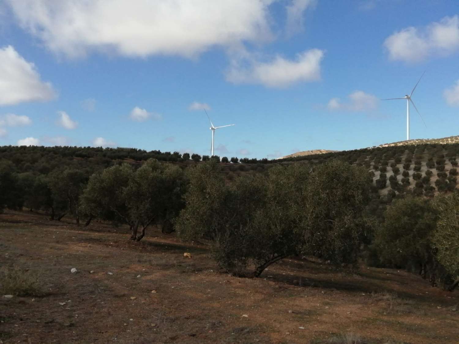 Domain en vente à Sierra de Yeguas