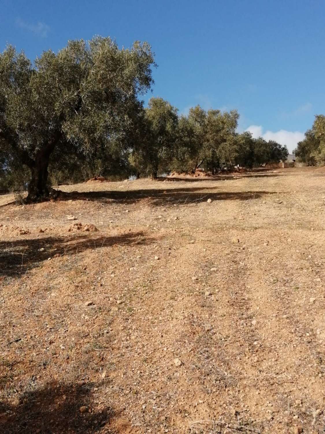 Finca en venta en Sierra de Yeguas