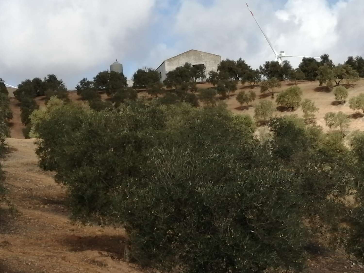 Finca en venta en Sierra de Yeguas