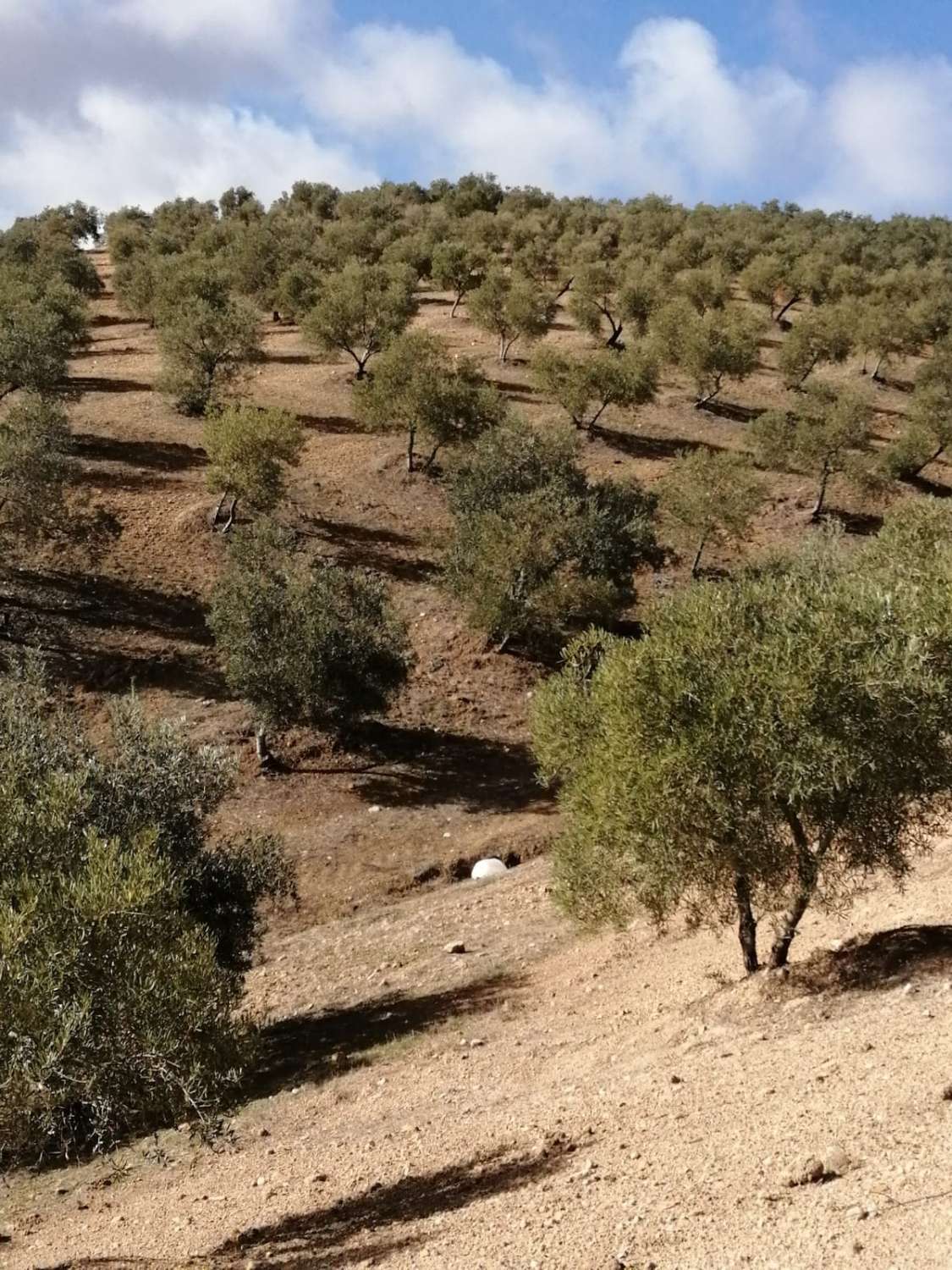 Finca en venta en Sierra de Yeguas