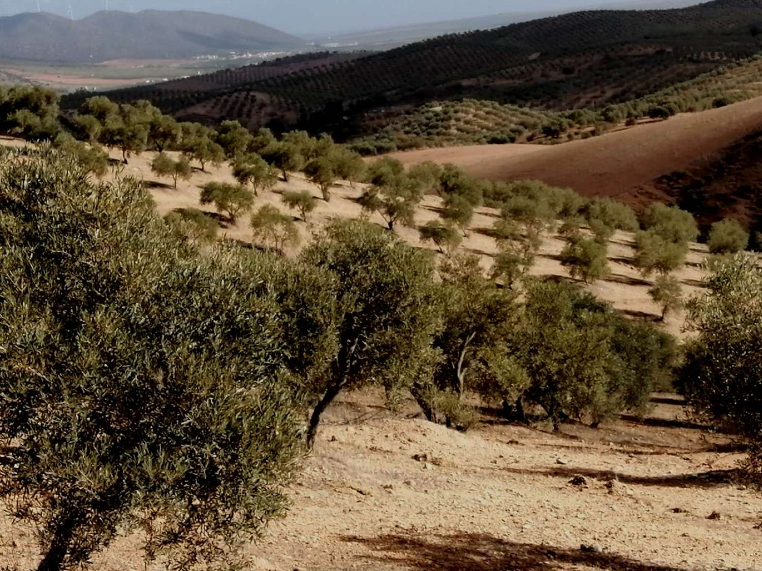 Finca en venta en Sierra de Yeguas