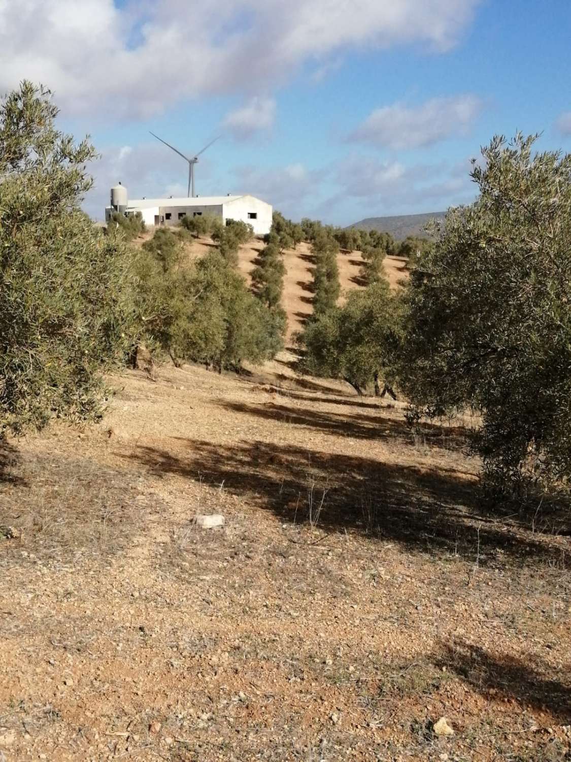 Finca en venta en Sierra de Yeguas