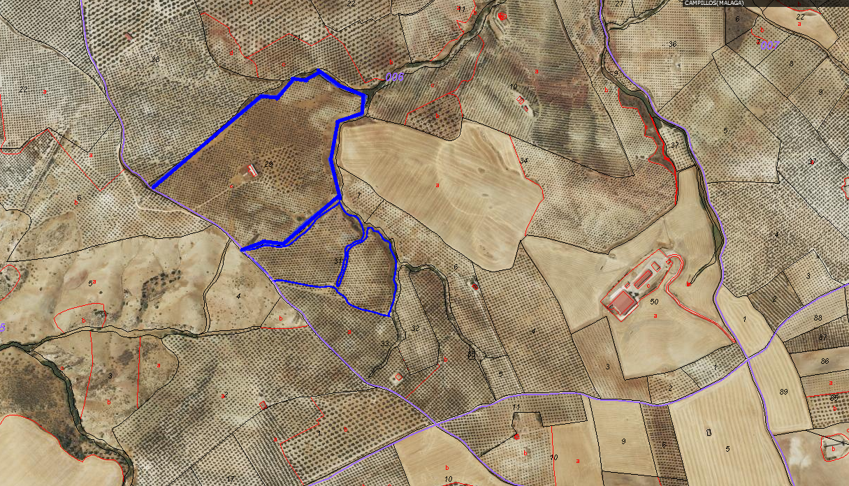 Domain en vente à Sierra de Yeguas