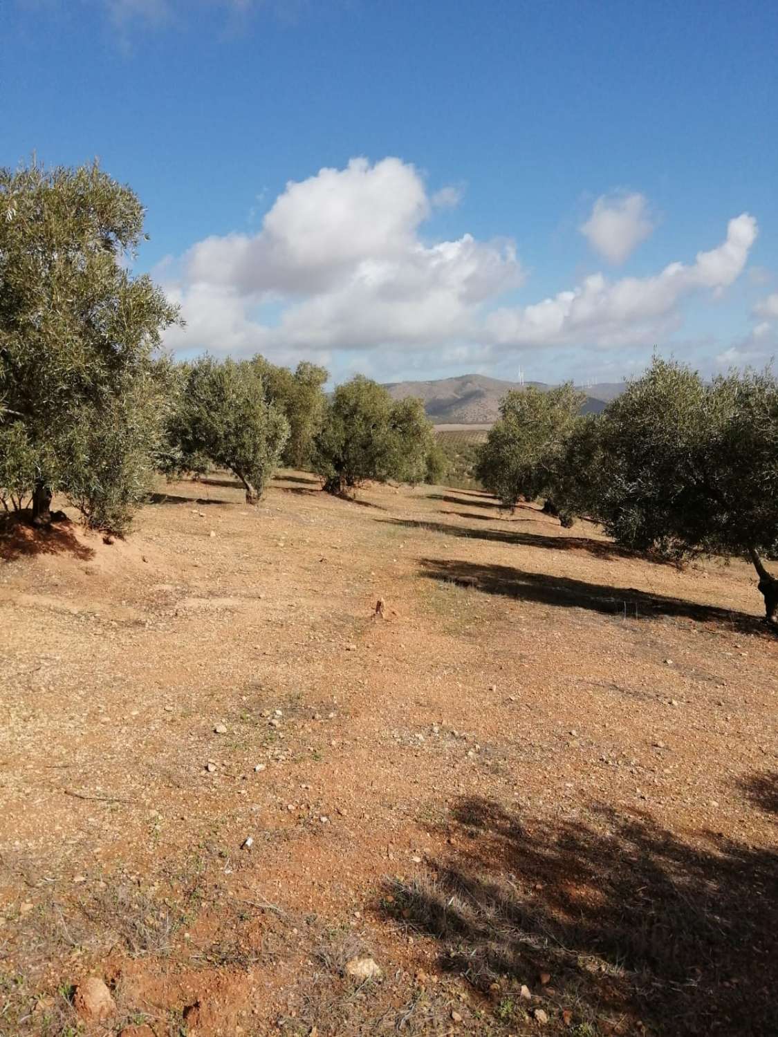 Finca en venta en Sierra de Yeguas