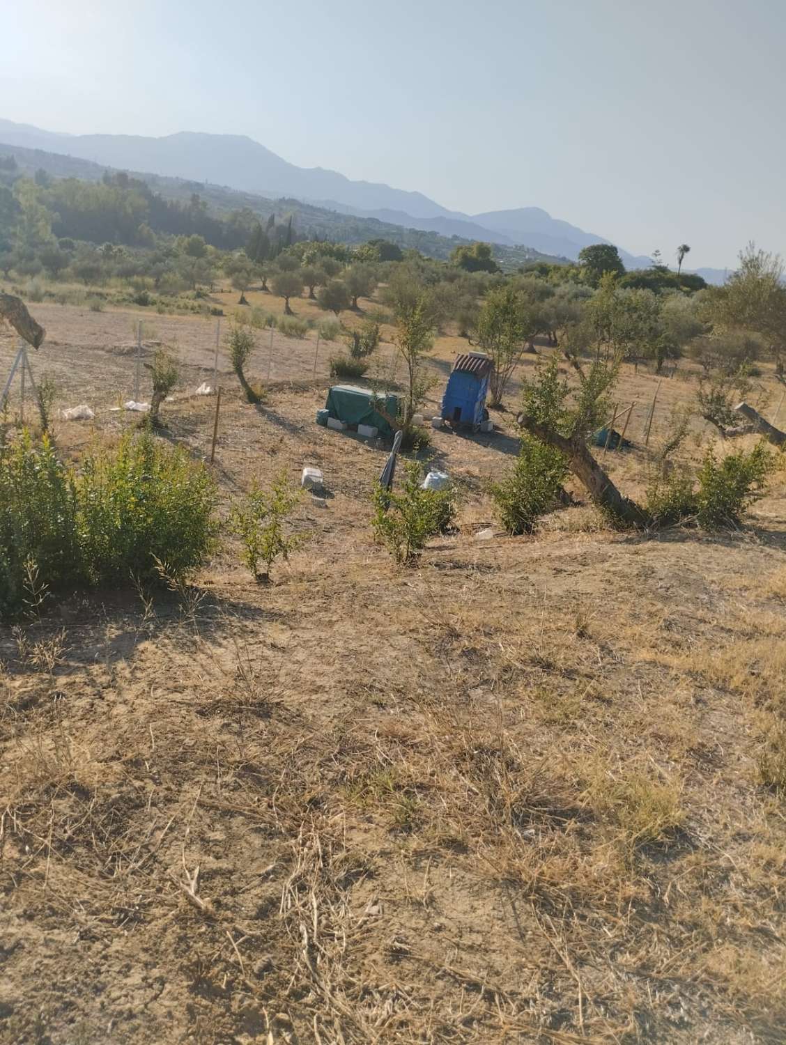 Finca en venta en Alhaurín el Grande