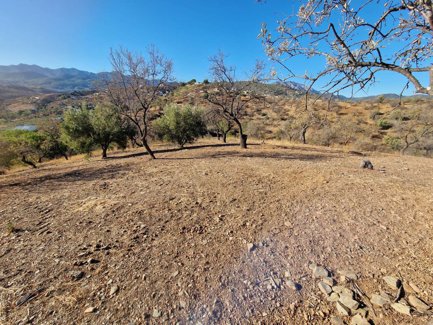 Villa en vente à Guaro