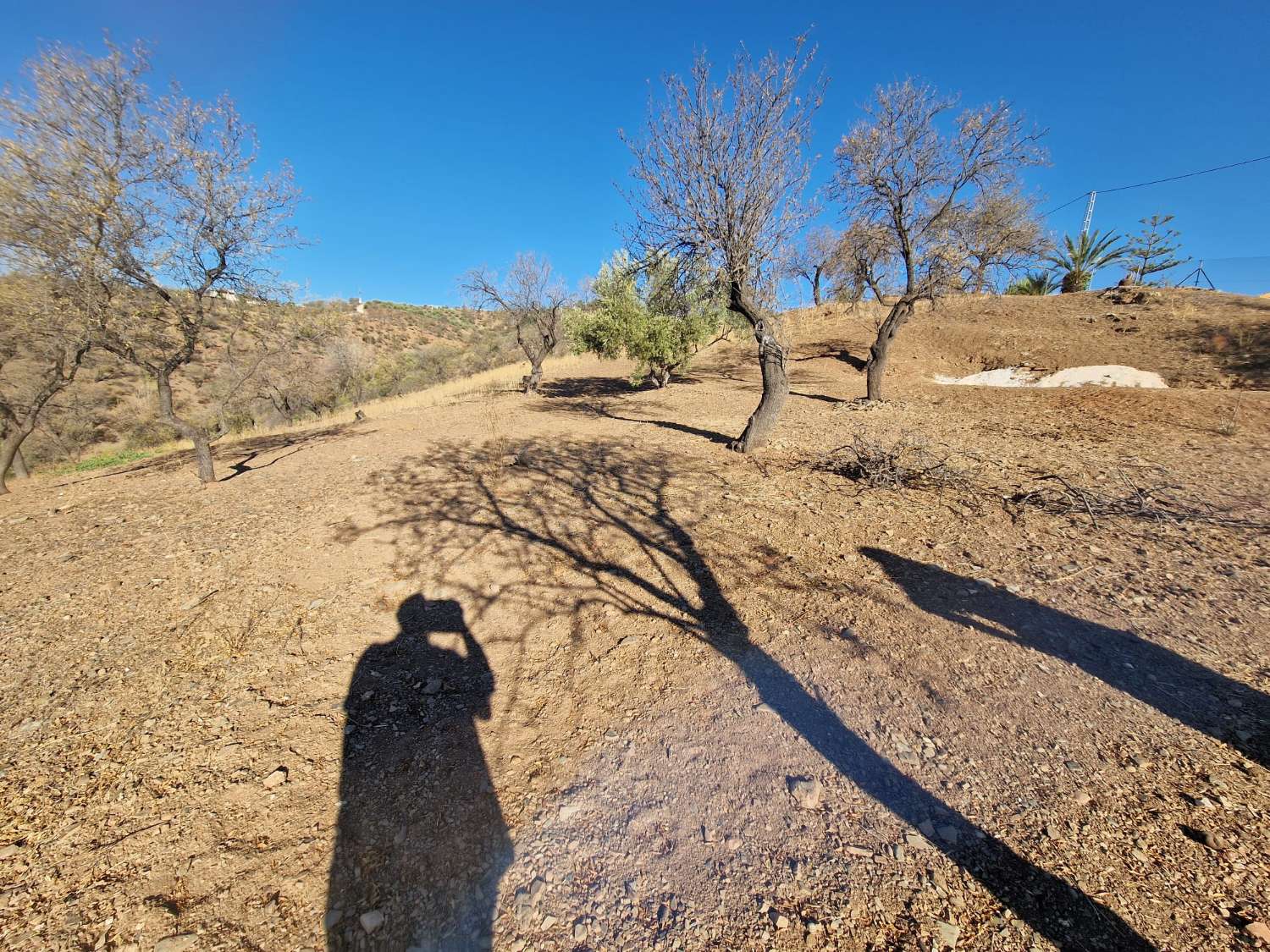 Villa en vente à Guaro