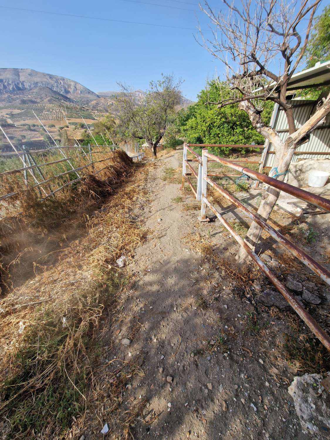 Pavillon en vente à Álora