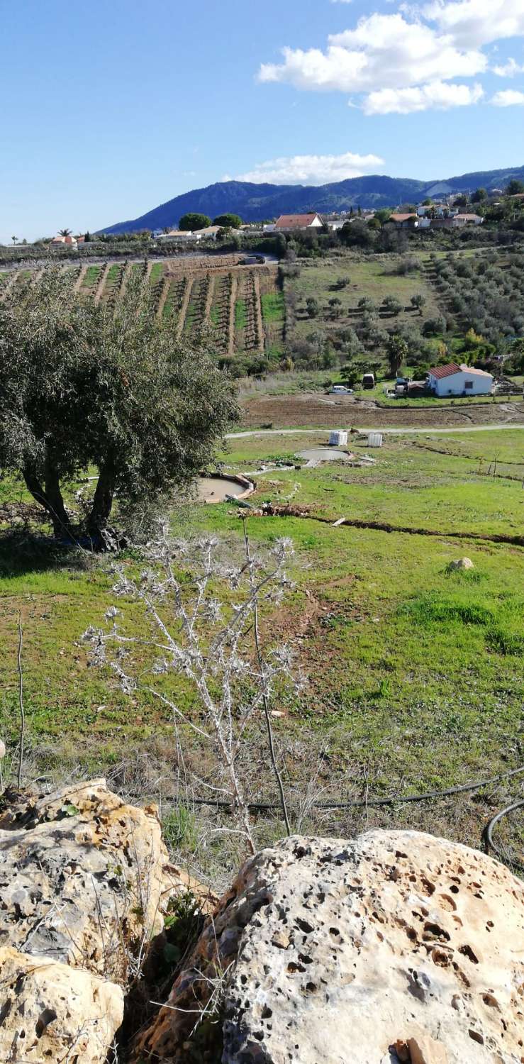 Parcela en venta en Alhaurín de la Torre