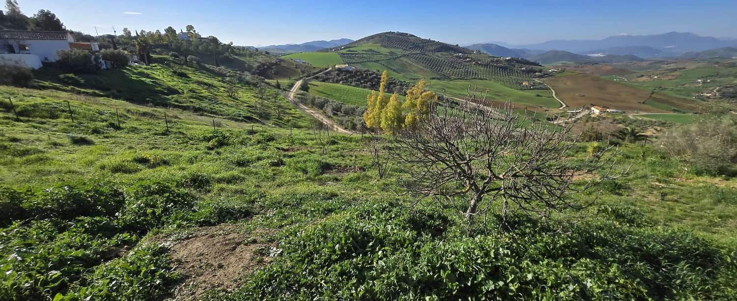 Finca en venta en Villanueva de la Concepcion