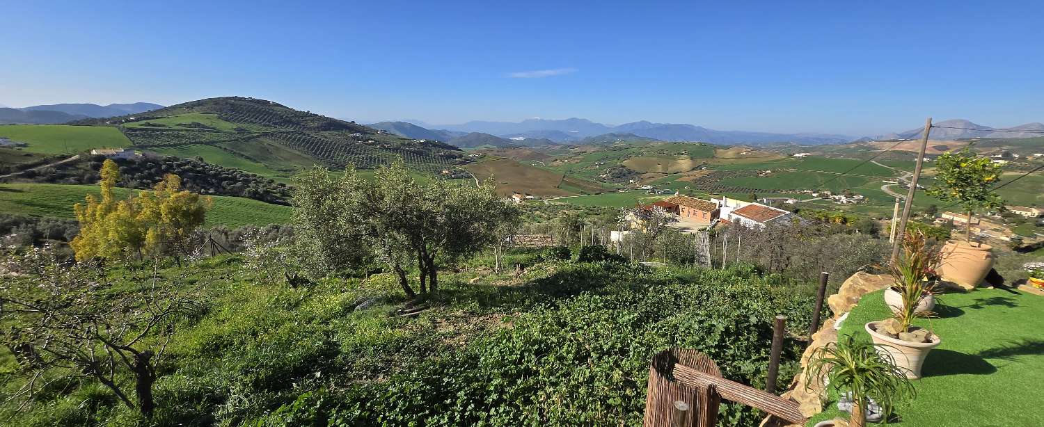 Finca en venta en Villanueva de la Concepcion