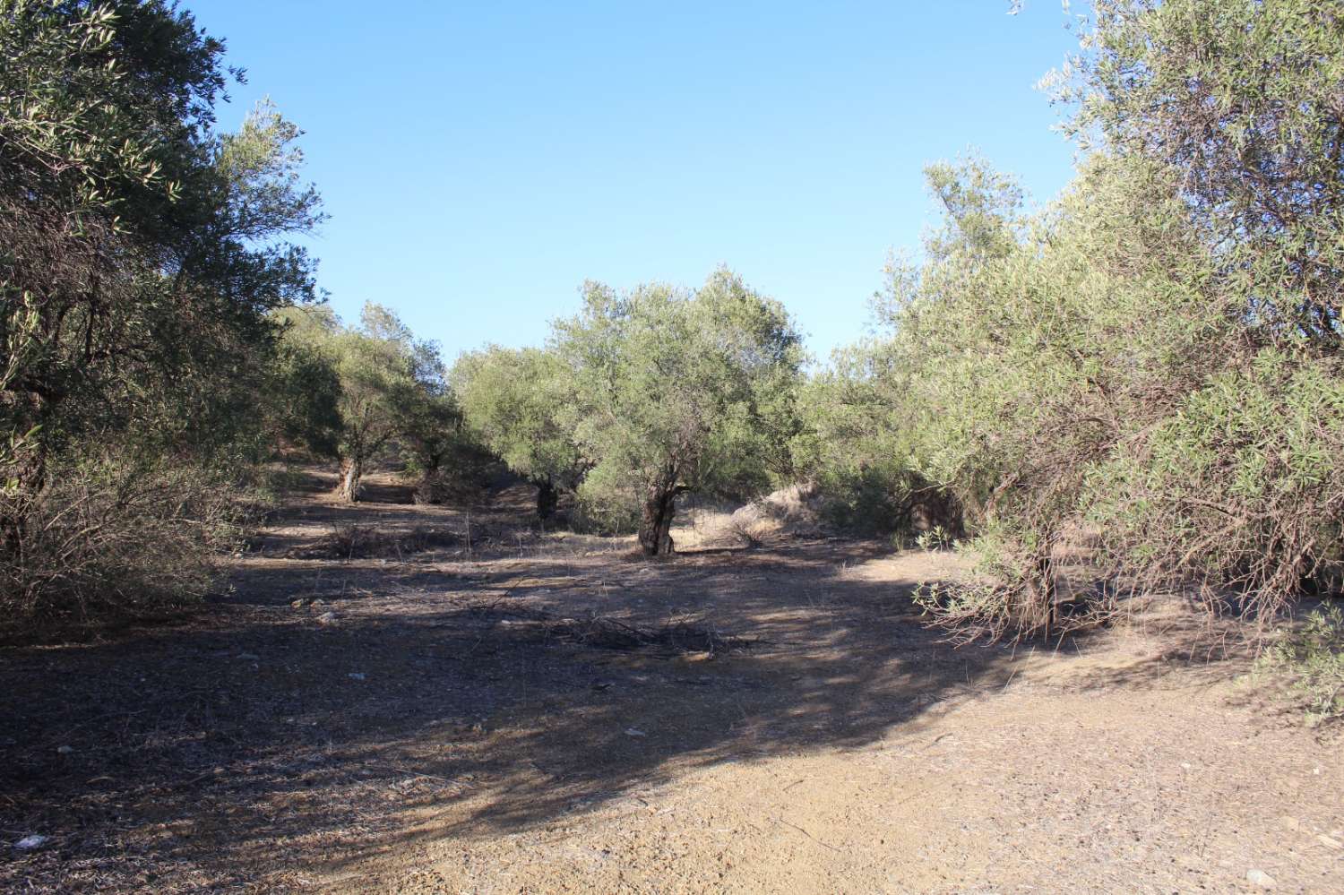 Country Property for sale in Álora