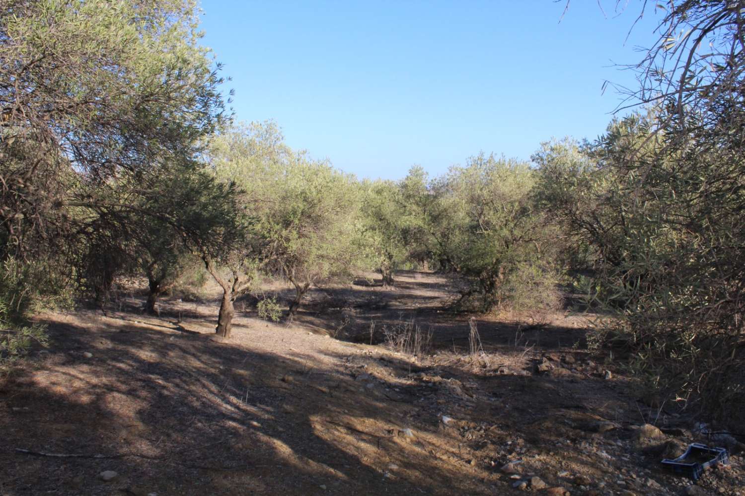 Country Property for sale in Álora