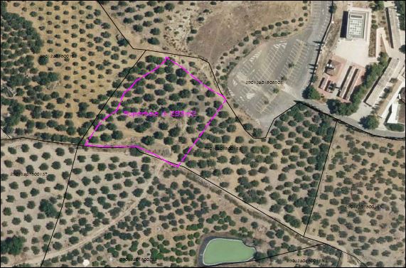 Country Property for sale in Álora