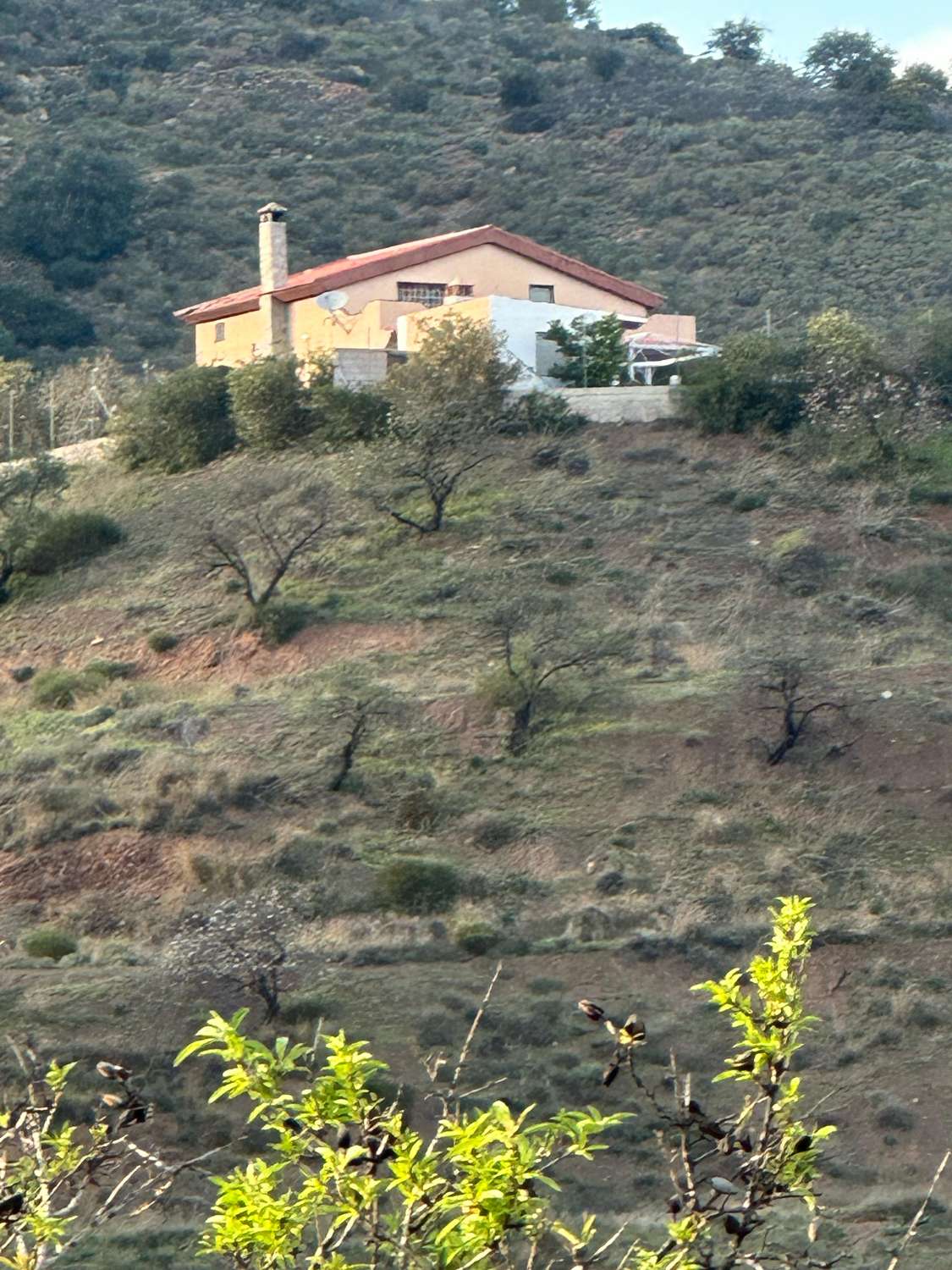 Finca en venta en Guaro