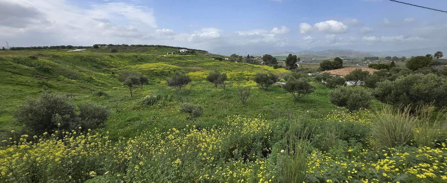 Parcelle en vente à Villafranco del Guadalhorce