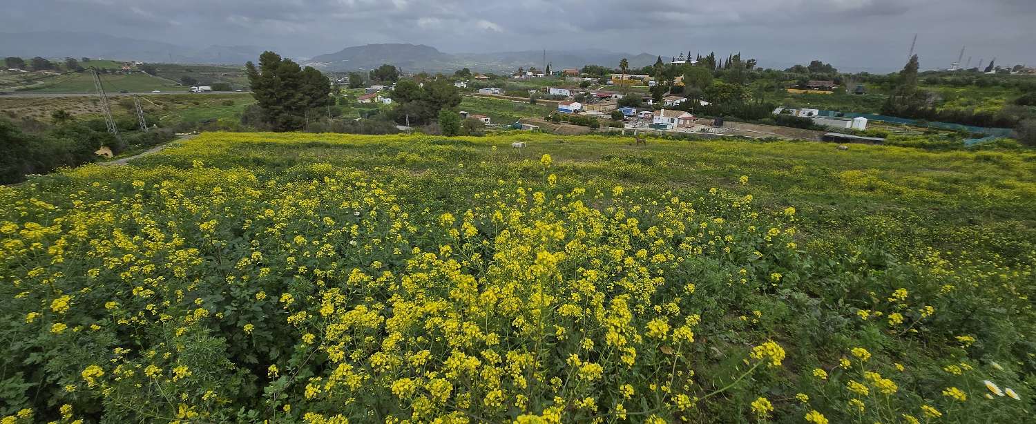 Parcelle en vente à Villafranco del Guadalhorce