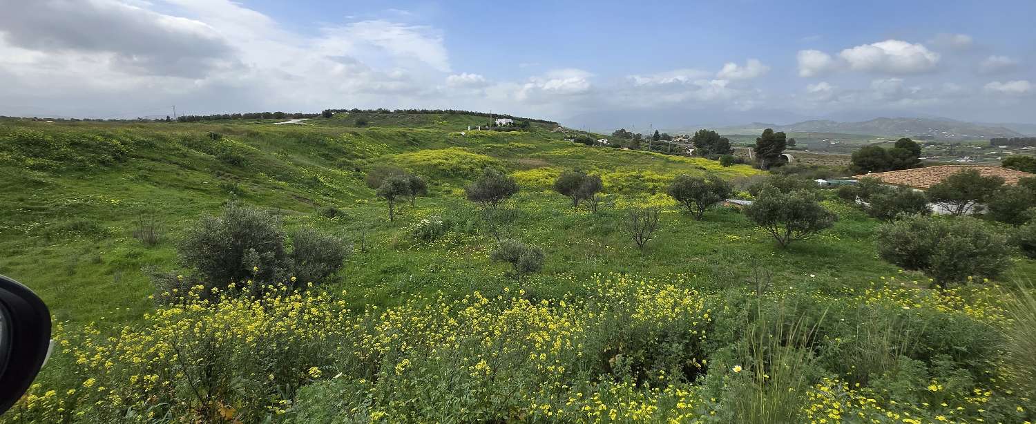 Parcelle en vente à Villafranco del Guadalhorce